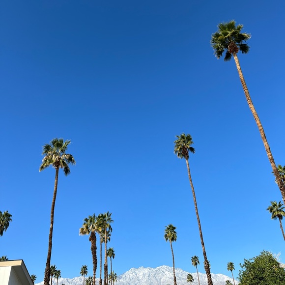 Meet your Posher, Bea - Picture 1 of 1